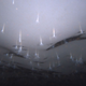Illustration for article titled New species of Antarctic sea anemone could hint at alien life